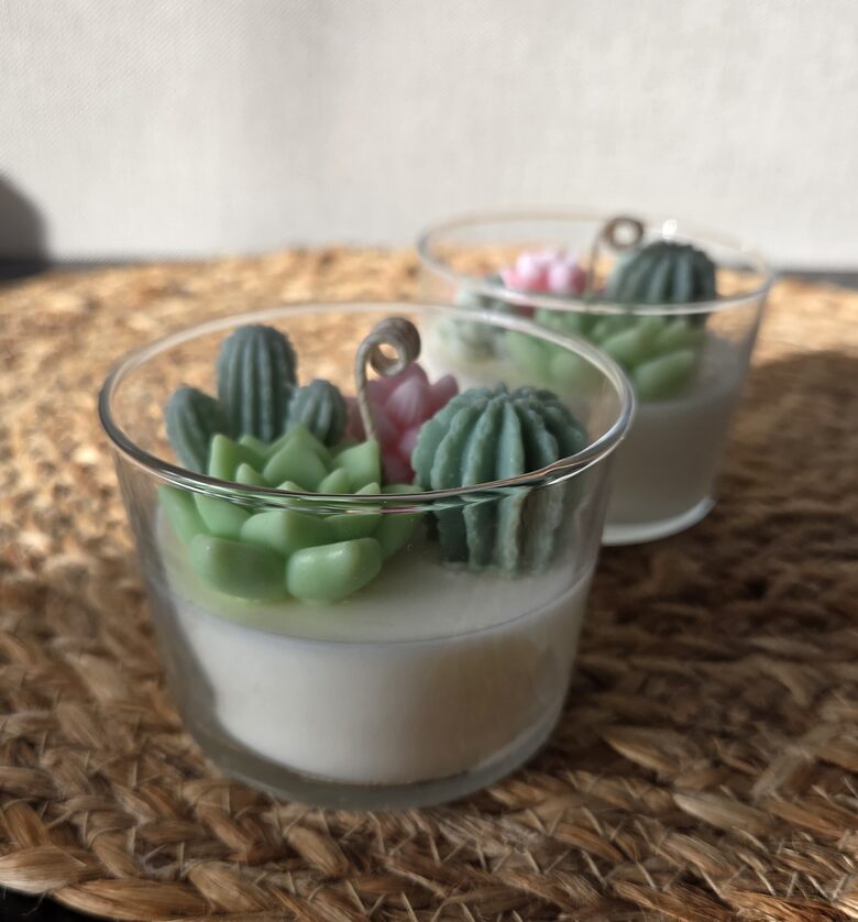 Mazā sukulentu oāze